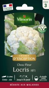 Chou-Fleur Locris HF1 - Graines d'Exception